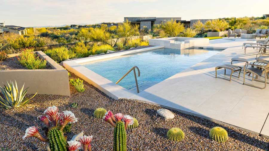 Native plants for a luxury pool landscaping in Tucson, AZ